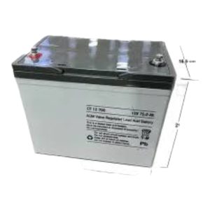 Baterías Apilador Eléctrico 12V/75 AH ORIGINAL