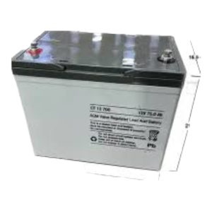 Baterías Apilador Eléctrico 12V/75 AH ORIGINAL
